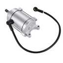 9T Starter Motor Assembly for Hawk 250,Dirt Bike Starter Motor Assembly for Hawk 250cc