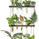 Mkono Plant Propagation Tubes, 3 Tiered Wall Hanging Terrarium with Wooden Stand Mini Test Tube Flower Vase Glass Planter Stations for Hydroponic Cutting Home Garden Office Decor Plant Lover Gift (Medium, Brown)