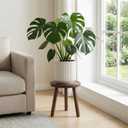 Wood Plant Stands Indoor, Updated Single Plant Stand Modern Plant Table for Large Plants, Wooden Plant Stool, Tall Plant Holder Small Round Side for Living Room, Balcony, Office (Dark Brown)
