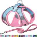 AIITLE No Pull Dog Harness and Leash Set, Step in Adjustable Dog Harness with Padded Vest for All Weather, Dog Leash with Soft Padded Handle, Easy to Put on Small and Medium Dogs Pure Pink S