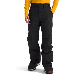 The North Face Men's Freedom Pant Asphalt Grey (Black, S)