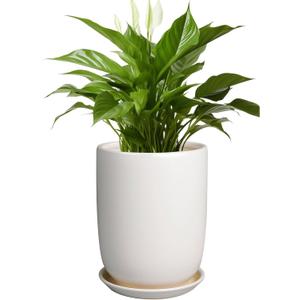 Plant Pot 8 Inch - Ceramic Planter for Indoor Plants Outdoor, Large Plant Pot with Drainage Hole and Saucer, Modern Flower Pot, White