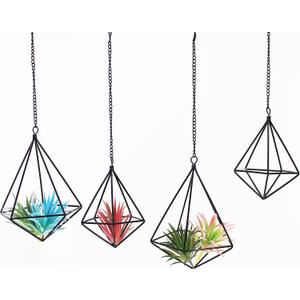 Geometric Air Plant Hangers - 4 Pack Black Metal Tillandsia Display Cages, Hanging Air Plant Holders for Indoor Plants Decor, Air Fern Frame