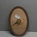 Framed Picture Of A Bird