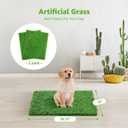 Artificial Dog Grass Pee Pad 18.75"x15" 2 Pack, Washable Indoor Potty Training Replacement Turf for Puppy, Reusable Realistic Grass Mat for Dogs
