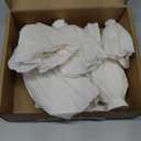 Letjolt White Paper Flowers Decorations for Wall 3D Artificial Flowers Home Decor Wedding Garlands Baby Shower Bridal Shower (Set 6)