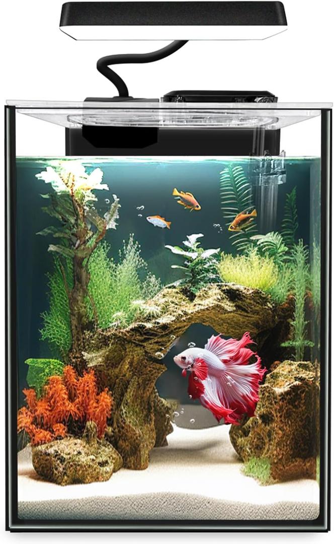 iPriro Glass Betta Aquarium Starter Kits 1.5 Gallon Small Fish Tank, Betta Fish Tank with LED Light, Power Filter, Black. 4mm Glass