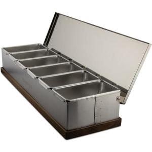 6 Slot Condiment Carrier, Stainless Steel Holders, Silicone Lids, and Gel Packs - Portable and Versatile for Outdoor BBQs and Parties