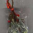 Tigeen Christmas Mistletoe Kiss Decor with Metal Bells and Bow Knots 8.6 Inch Artificial Christmas Mistletoe Hanging Ornaments for Xmas Party Tree Doors Walls Window Fireplaces Decorations(Red)