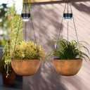 BAYN 2 Packs Solar Hanging Basket Planters for Plants Outdoor, Self Watering Bronze Flower Plants Pots with Solar Light Drainer for Balcony Patio Garden Outdoor Decoration