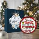 Funny Ornament 2025  Adult Humor Ornament, Dear Santa Sorry for All The F-Bombs 2025 was Crazy  Adult Humor Holiday Decoration, Gag Gift, White Elephant, Secret Santa Stocking Stuffer