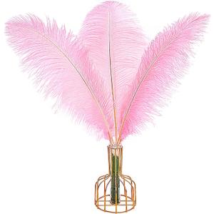 THARAHT 12PCS Ostrich Feathers Natural Bulk 12-14Inch(30-35cm) for Wedding Party Centerpieces Easter Gatsby Flower Arrangement and Home Decorate Ostrich Feathers,Pink