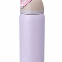 Owala Disney Princess FreeSip Insulated Stainless Steel Water Bottle with Straw for Sports and Travel, BPA-Free Sports Water Bottle, 24 oz, Multicolor