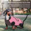 Queenmore Large Recovery Suit for Dogs, Dog Recovery Suit, Pink,XL Breathable Dog E-Collar & Cone Alternative Surgical Suit, Soft Pet Surgical Suit Female and Male