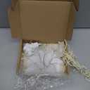 CHEZBABY Stained Glass Night Light Plug into Wall Lamp Decorative Accent Nightlight for Hallway Bedroom Bathroom Kitchen Home Décor(Lily)