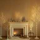 Hairui Lighted Birch Branches Plug in with Timer 30IN 150 LED Fairy Lights, White Willow Branch Lights for Christmas Fireplace Room Vase Decoration Indoor Outdoor Use (Vase Excluded)