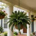 Senjie Artificial Boston Fern 2 Set 55 Branches Fake Ferns for Outdoors 32Inch Faux Plant for Home Living Room Office Decor