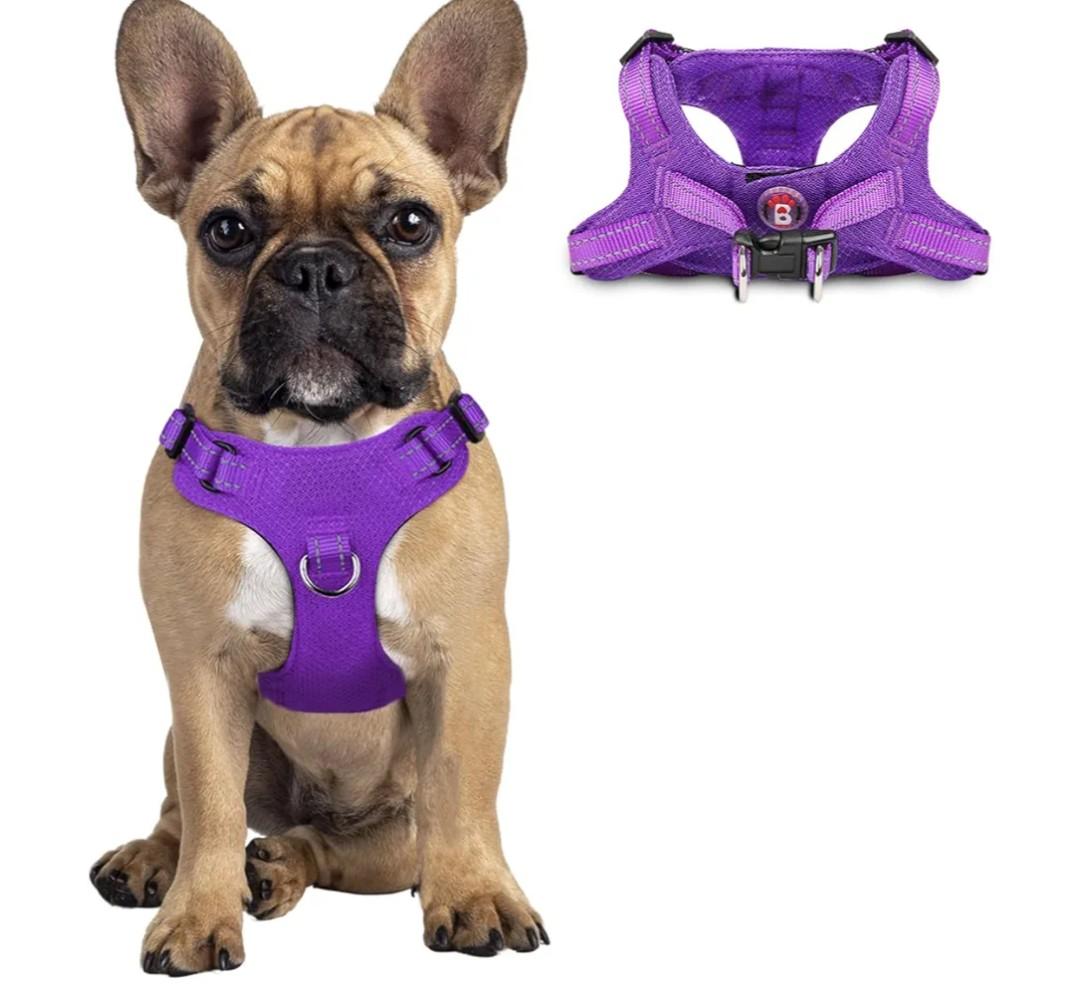 Dog Harness Step in Dog Vest Harness, Reflective Adjustable Puppy No Pull Harness Breathable Soft for Dogs Cats, Purple, Small