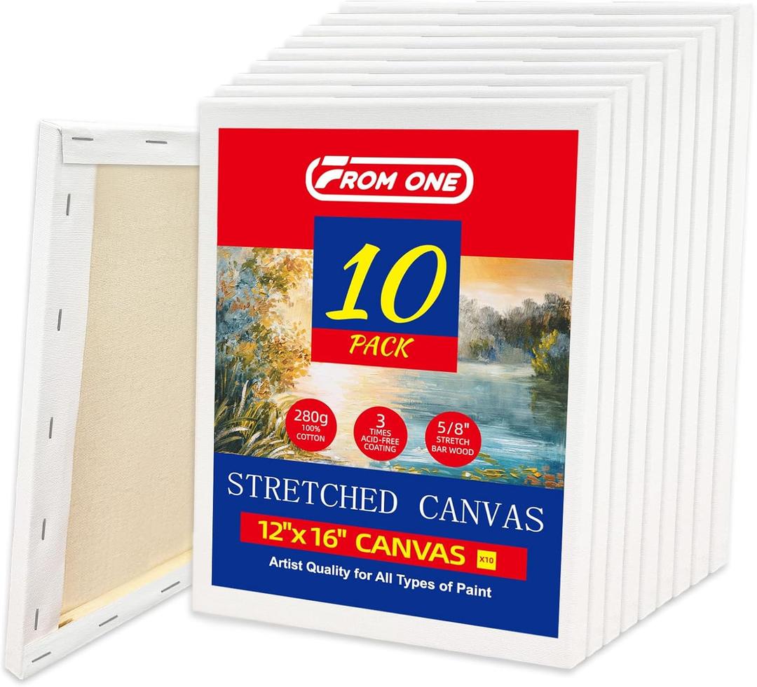 10-Pack 12x16 Stretched Canvas 100% Cotton with Natural Cottonseed Husk, 5/8 Deep Frame, Triple Primed Acid-Free White Canvas, No Bleed-Through, Warp-Resistant Ready for Acrylics, Oils, Gouache