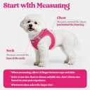 Rabbitgoo Dog Harness Small Sized and Leash Set, Step in Soft Light Puppy Vest, Breathable Mesh Pet Harness, Reflective for Safe Easy Walking, Rose Red, XXS
