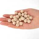 1/2 inch Wooden Balls, 300PCS Unfinished Round Wood Balls, 12mm Small Natural Wooden Balls for Crafts and DIY Decorative Projects