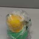 Starmark Treat Dispensing Bob-a-Lot Dog Toy, All Breed Sizes (Pack of 1)