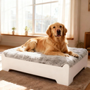 CLOUDBERG Medium Elevated Wooden Dog Bed Frame with Cushion, Raised Dog Couch Sofa 32½”x 24½” Up to 50lbs
