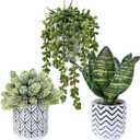 Winlyn Set of 3 Artificial Potted Succulent Plants Faux Snake Plant Hops String of Pearls in Black White Geometric Planter Small Fake Desk Plants for Kitchen Bathroom Shelf Desk Table Windowsill Decor (White Pots With Pattern)