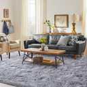 FinRec 5x7 Feet Light Grey Rugs for Bedroom Living Room, Soft Fuzzy Shaggy Area Rug, Non-Slip Fluffy Furry Shag Rug for Nursery Kids Room Dorm Room Home Decor, Indoor Plush Floor Carpet