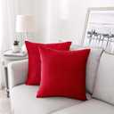 NiNi ALL Decorative Throw Pillow Covers Pack of 2, Velvet Throw Pillow Cases for Couch Pillows Cover Bedroom Living Room Outdoor, Pillow Covers 16x16 Inch Red