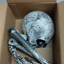 JOYIN 3 Pcs Halloween Skeleton Decorations Outdoor, Realistic Looking Skeleton Yard Stakes, Groundbreaker Skull Decor for Graveyard Yard Lawn Garden Party Supplies