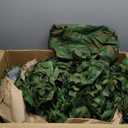 Sposuit Camo Netting - Camouflage Net Bulk Roll for Hunting Military, Party Decorations, Sunshade, Camping Ghillie Netting, 13x13 Ft