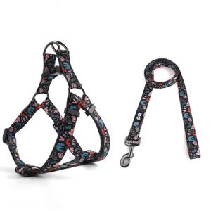 QQPETS Dog Harness Leash Set Adjustable Heavy Duty No Pull Halter Harnesses for Breed Dogs Back Clip Anti-Twist Perfect for Walking, XS