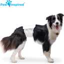 Paw Inspired Male Dog Wraps, Disposable Dog Diapers | Belly Bands for Small, Medium, Large Dogs (32 Count, Size Medium)