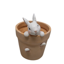 Easter - Spring Flower Pot - Bunny Decor - Easter Decoration - Decorative Garden Pots for Cactus Succulents Planter with Drainage Hole for Home Farmhouse Decor 5.75 x 5 x 7.25 inch Newman House Studio