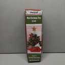 Juegoal 24 Inch Mini Christmas Tree Set, Table Top Artificial Christmas Trees with 50 LED Lights, Ornaments and Red Berries, Best DIY Christmas Decorations (Green)