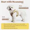 Rabbitgoo Dog Harness Small Sized and Leash Set, Step in Soft Light Puppy Vest, Breathable Mesh Pet Harness, Reflective for Safe Easy Walking, Brown & Beige, M
