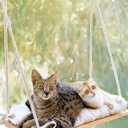 Cat Window Perch for Large Cats - Hammock Bed for Heavy Indoor Cats - Solid Wood Seat, 5 Strong Suction Cups, Soft Cushion - Rustic Shelf for Pets Inside (Beige)