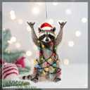 2 x Raccoon Christmas Ornament, Double-Sided Print, Racoon Ornament, Animal Ornaments, Funny Christmas Ornaments, Funny Raccoon Gifts for Women, Racoon Gift, for Grandkids, Family, Friends