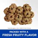 Hill's Natural Fruity Crunchy Snacks, All Life Stages, Great Taste, Dog Treats, Cranberries & Oatmeal , 8 oz Bag (8 Ounce (Pack of 1))