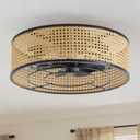 Boho Caged Ceiling Fan with Light, 20" Rattan Flush Mount Ceiling Fans with Lights Remote Contro, Bladeless Enclosed Fandelier Fan Safe for Bedroom, Living room, Nursery