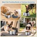 304 Stainless Steel Dog Bowls, Heavy Duty Dog Food Bowl with Extra Strong Non-Slip Mat, Thick Metal Base Water Bowl with Lick Mat for Small, Medium, Large Dogs, Indoor/Outdoor (19.8 oz) (Grey)