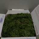 Hananona 2 Pcs 6 Ft Artificial Norfolk Pine Garlands, Real Touch Winter Pine Garland, Green Artificial Greenery Garland for Table, Mantle, Wall, Indoor, Outdoor Christmas Decorations (2, 6 FT)