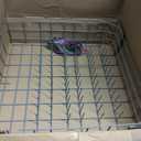 W10728159 Dishwasher Lower Rack with Wheels, Fit for Kitchenaid Dishwasher Rack, W10525646 W10780925 Dishwasher Rack Lower Intended for Maytag Dishwasher Parts Deep 22in Wide 20.8in