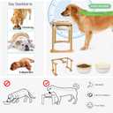 Ceramic Dog Bowls with Non-Skid Stand, Elevated Feeding Bowl for Medium Large Dogs,Raised Food and Water Dish Set, Dog Pet Feeder (11'' Tall-56OZ-Cream White)