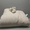 Litanika Queen Comforter Set Beige, 3 Pieces Lightweight Fluffy Solid Bedding Comforter Set, Down Alternative Comforter All Season Bed Set Gift Choice