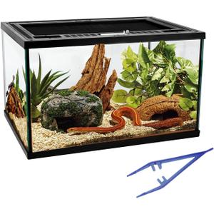 Reptile Glass Tank 16"x11"x9" Terrarium with Top Opening and Screen Ventilation for Leopard Gecko,Lizard,Hermit Crab,Snake,Spider,Frog,Bearded Dragon,Turtle with Feeding Tongs