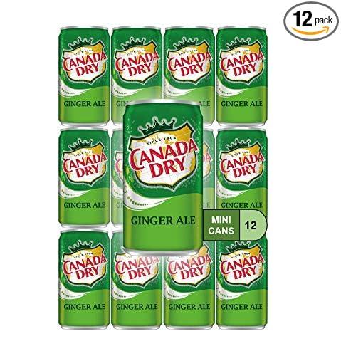 Ginger Ale Mini Soda Cans, 7.5 oz Soft Drinks Bulk Snacks Pack, Small Refrigerator & Snack Pantry Drink 12 Count Beverage Kitchen Supplies