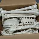 5.4 ft Posable Halloween Skeleton Decorations,Human Bones for Halloween Party with Movable Joints,for Haunted Houses, Front Lawn, Graveyard Props