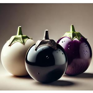 7 x 30+ Seeds Eggplant Round Mix - Vegetable Multicolor